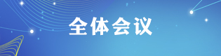 政府全體會議